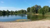 gv-crumstadt_2015_grillfest_007