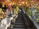 Gewerbeverein Crumstadt, Ausflug 2008