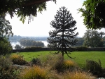 Gewerbeverein Crumstadt, Ausflug 2008